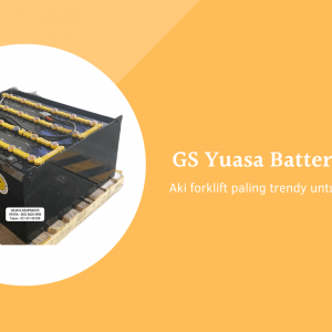 GS Yuasa Battery VGD565